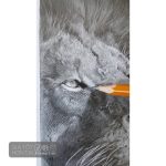 Bút chì Tiệp Vàng KOH 1500 - Image 5