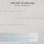 Giấy vẽ chì hình hoạ A3 lỡ - 1 tờ dày 100gsm luyện thi đại học mỹ thuật - Image 3