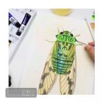 Màu nước theo bộ nhỏ - Image 8