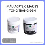 Màu Acrylic Trắng Đen