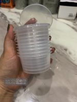 Hộp nhựa đựng màu - Image 5