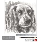 Bút chì Tiệp Đen KOH 1900 - Image 6