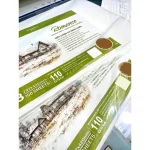 Giấy vẽ luyện thi Takeyo Romance dày 110gsm A1/A2/A3/A4 chì, than, màu bột, gouache, poster, sáp dầu, màu chì - Image 2