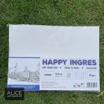 Giấy vẽ chì HAPPY INGRES CANSON Ý mỏng 110gsm (vân ngang) - Image 4
