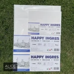 Giấy vẽ chì HAPPY INGRES CANSON Ý mỏng 110gsm (vân ngang) - Image 5